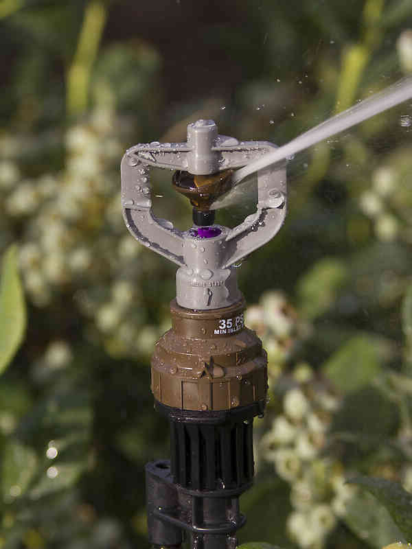 Pressure Regulator on R10T