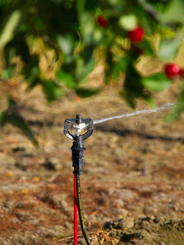 R10 Rotator
