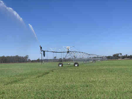 Increasing yield with multiple end guns