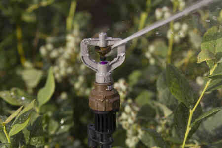 Pressure Regulator on R10T